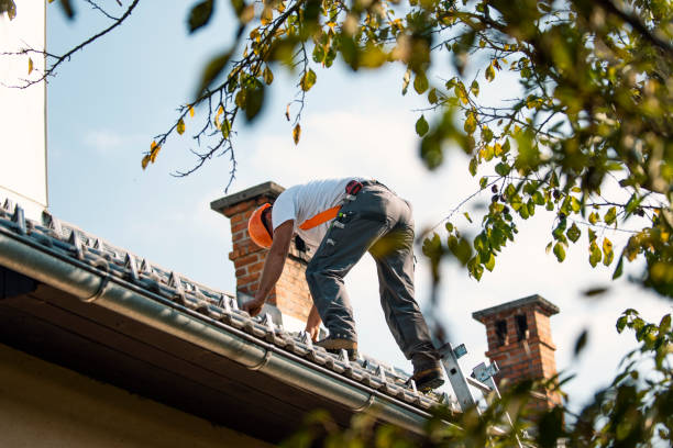 Trusted Apex, NC Roofing Contractor Experts