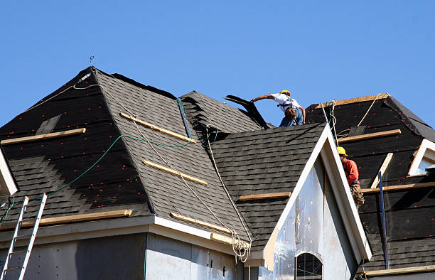 Best Metal Roofing Contractor  in Apex, NC