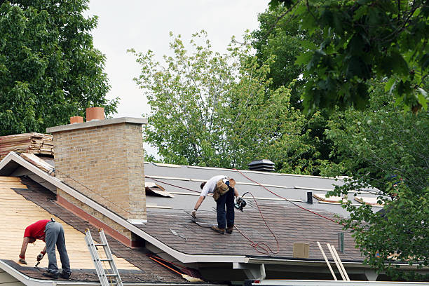 Best Storm Damage Roof Repair  in Apex, NC